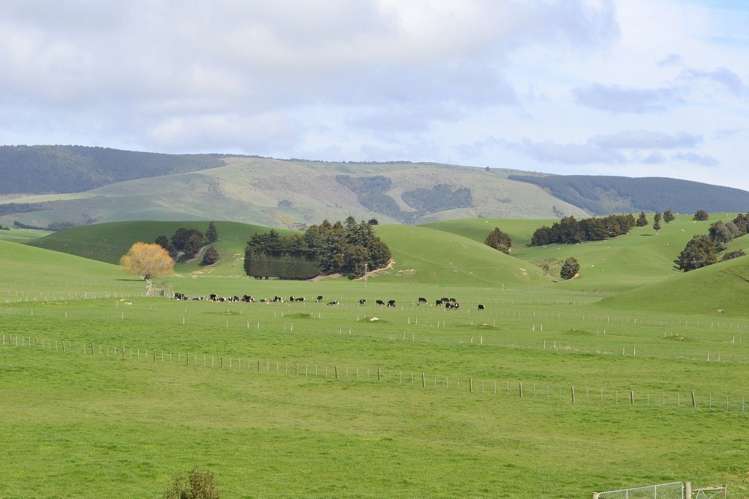 38 Greenall Road Balclutha_14