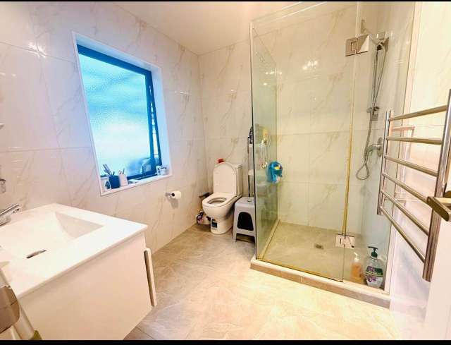 Silver Beech Street Takanini_4