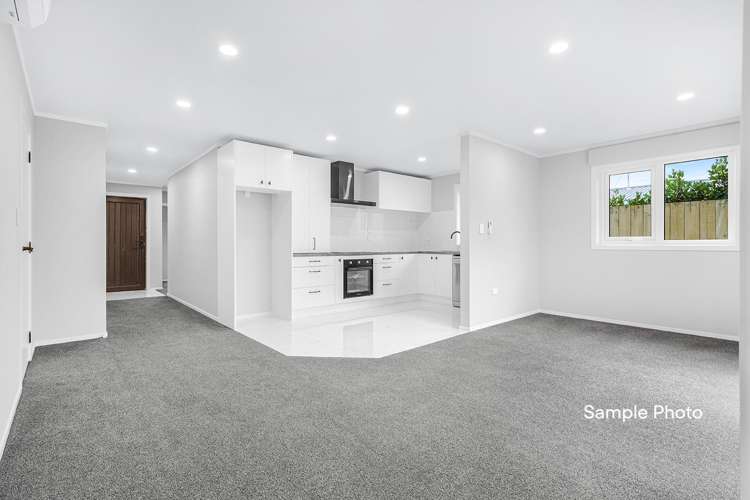 1/6 Dominion Road_1