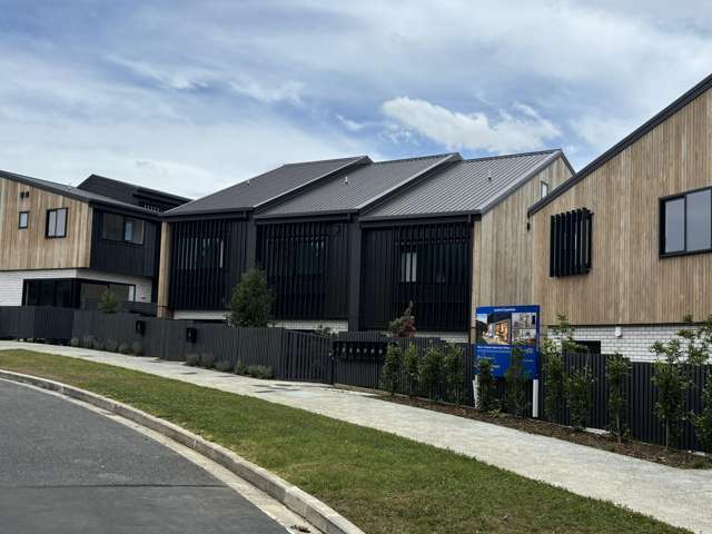 Brand New Three Bedroom Home in Glendowie