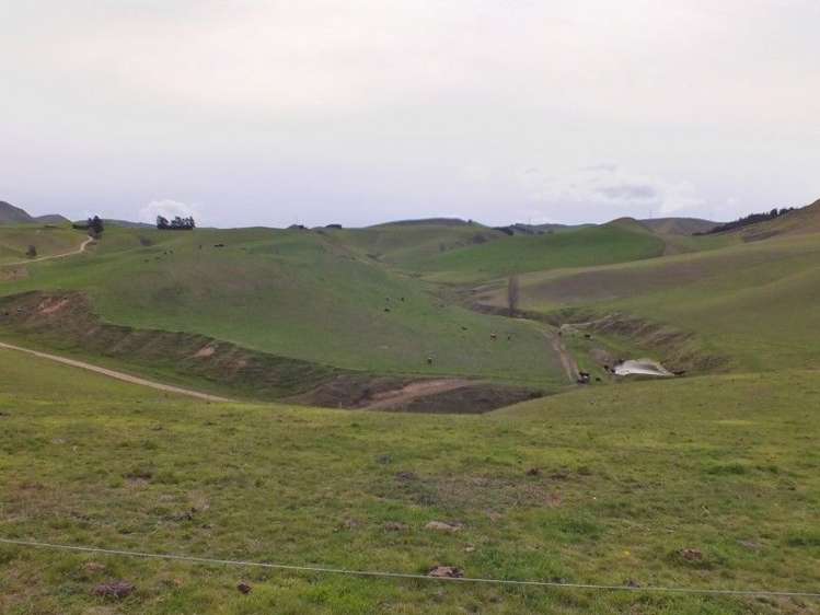 1006 Glenmark Drive Waipara_14