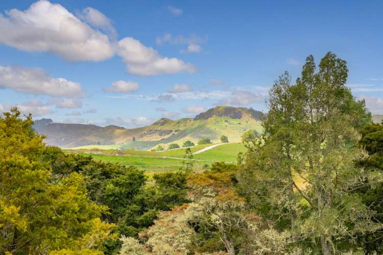 78 Prictor Road Wellsford_20