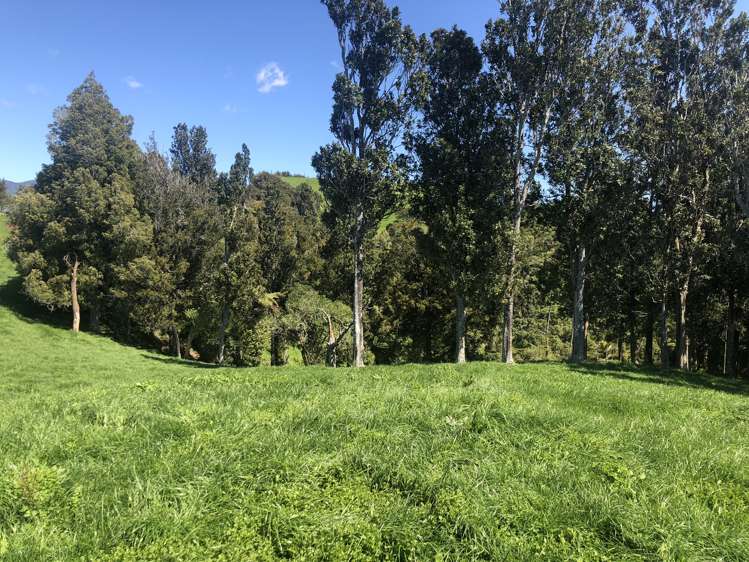 1026 Limeworks Loop Road Karamu_20