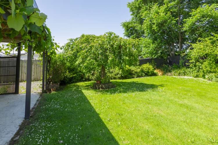 22 Jellicoe Street Waipukurau and Surrounds_21