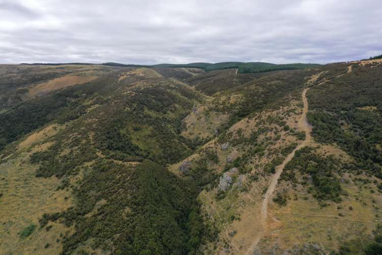 732 Beaumont Highway Clutha_25