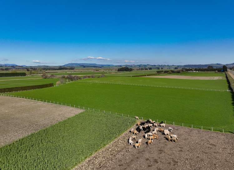 57 Island Edendale Road Edendale_3