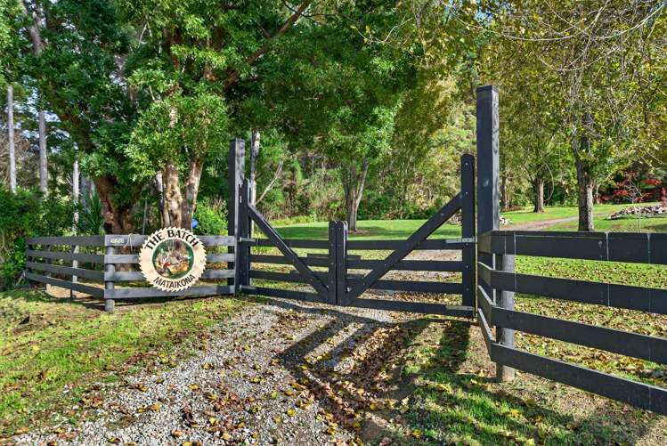 1598 Pack Spur Road_2