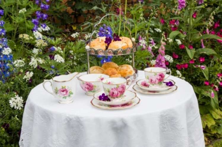 151 Maungatautari Road Cambridge_8