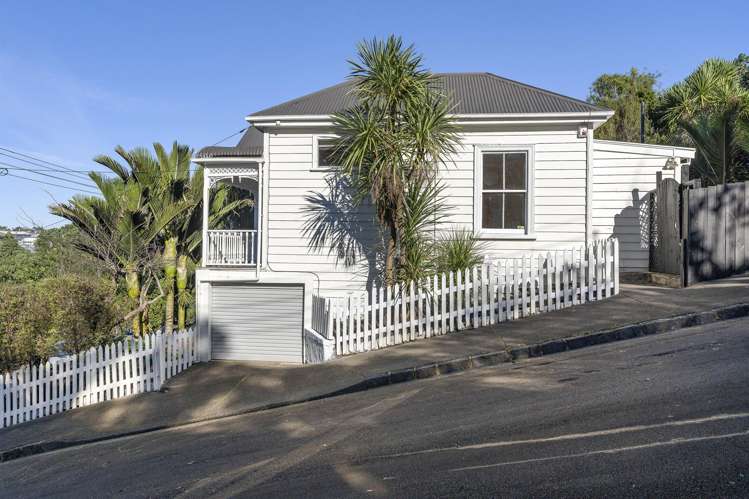 21 Keppell Street Grey Lynn_16