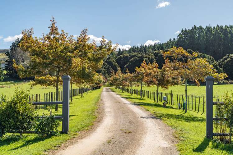 36 Hoeke Road Carterton_26