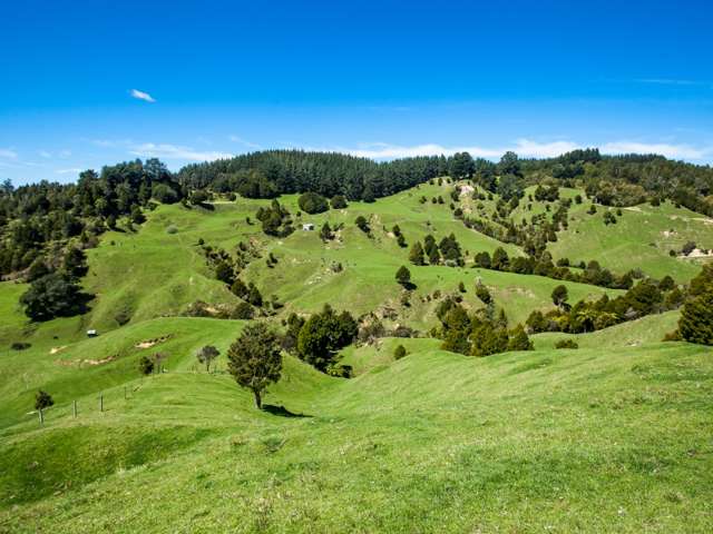 667 Stanley Road Wainui_4