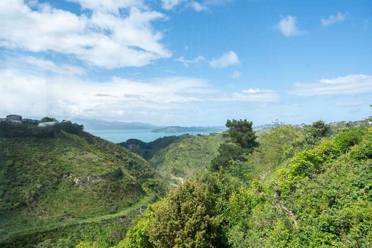 5 Plumer Street Johnsonville_31