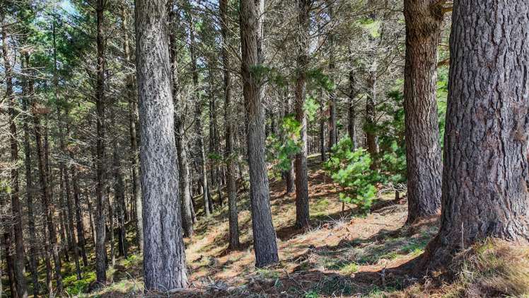 683 Bush Road Wallingford_24