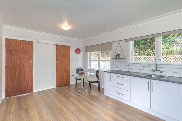 43 Trafalgar Street Levin_2