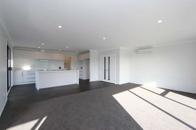 12 Loeb Place Rolleston_4