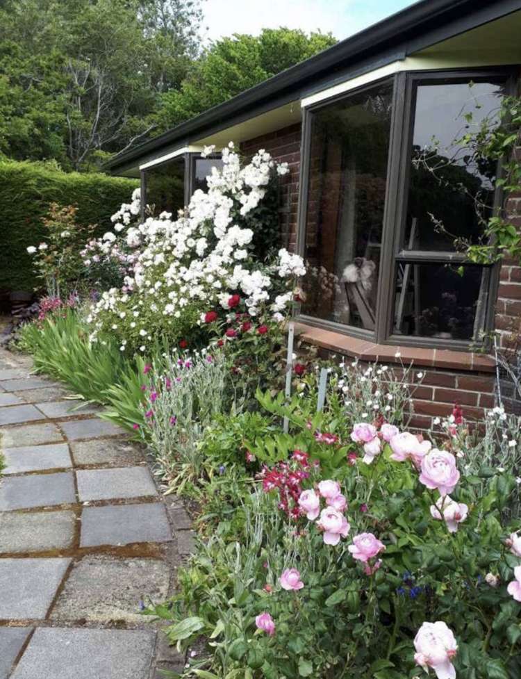 779 Queens Drive Waikiwi_21