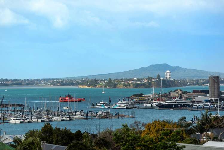 30 Vine Street Saint Marys Bay_8