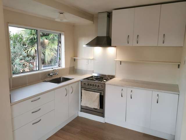 1/25A Clark Road Pahurehure_1