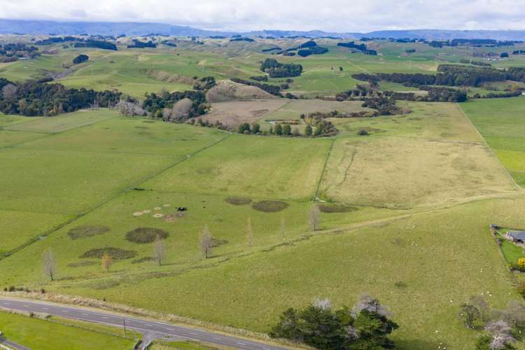 620 Taonui Road Colyton_23
