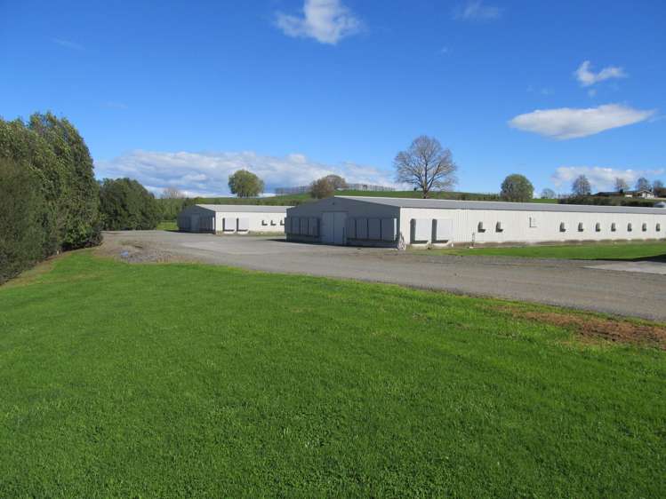 253 Rangitanuku Road Te Poi_12