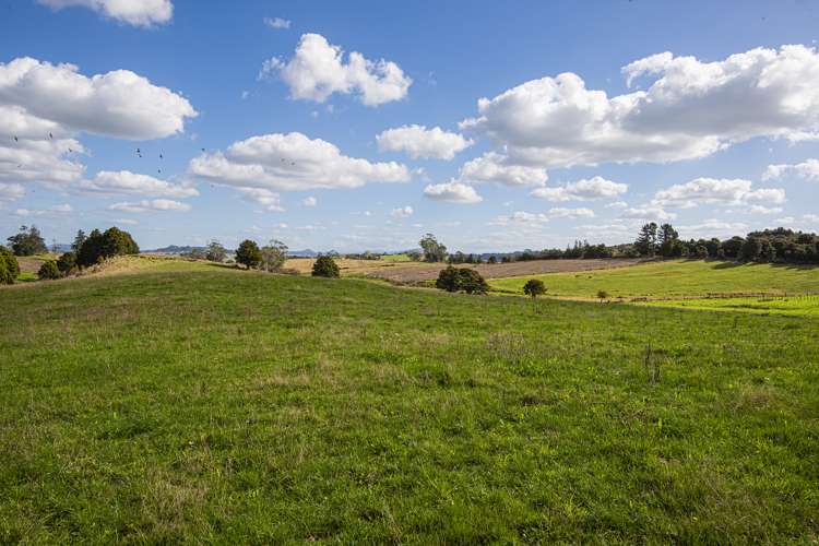 278 Pigs Head Road Hikurangi_14