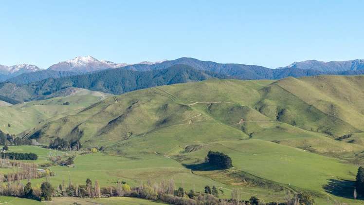 Mikimiki Road Masterton_19