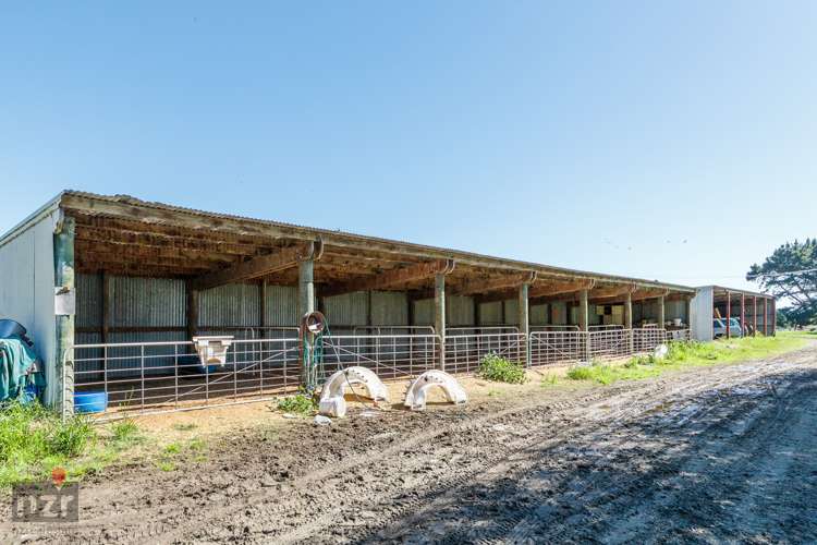 150 Himatangi Beach Road Himatangi_15