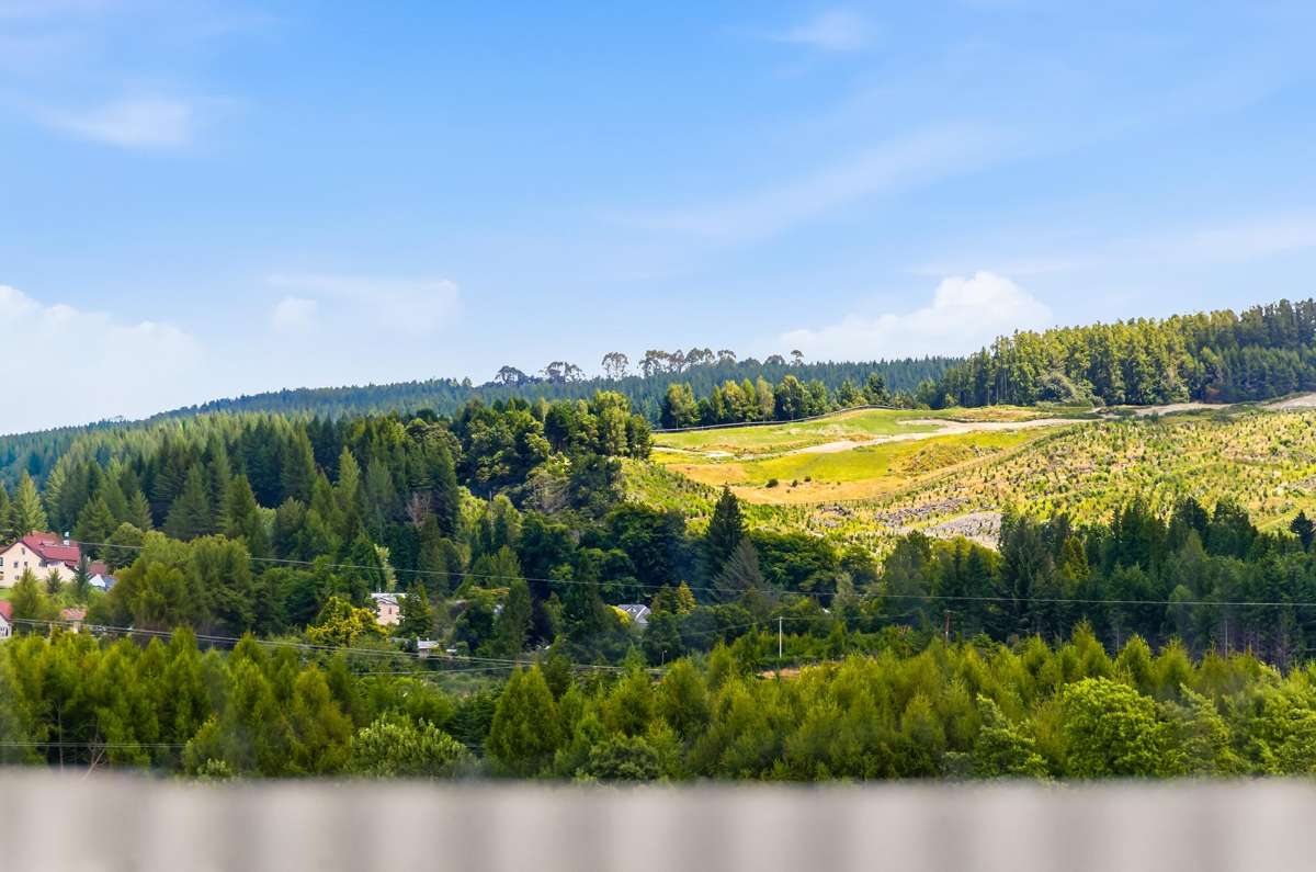 5 Rangiora Crescent_4