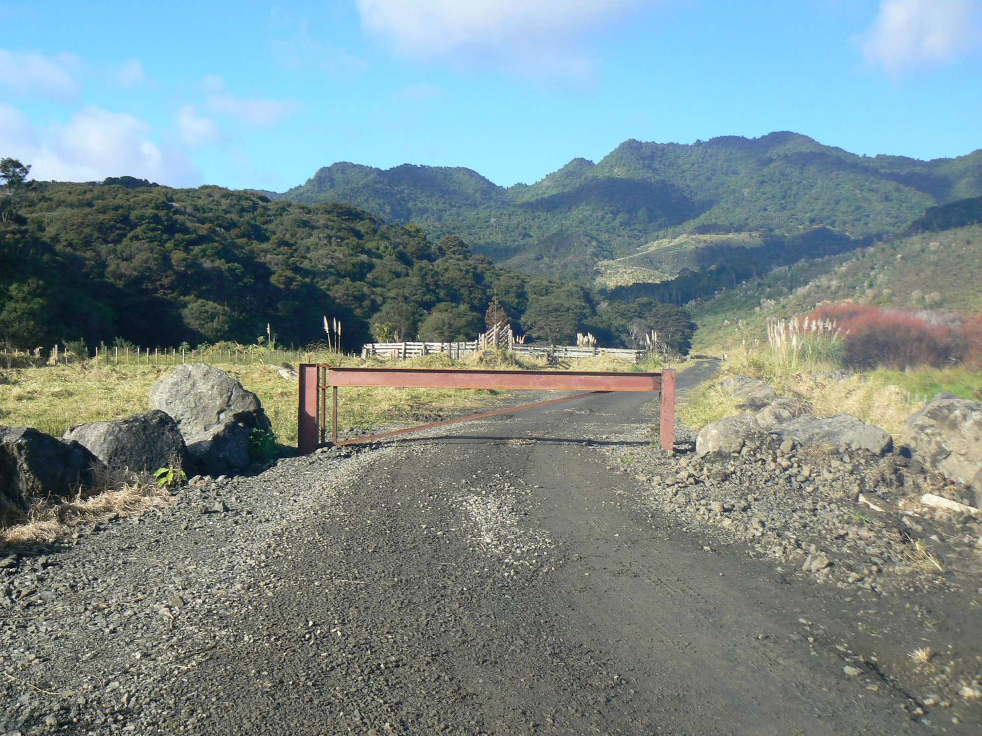 Jamieson Road Omanaia_0
