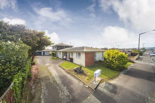 43 Albert Street Palmerston North Central_1