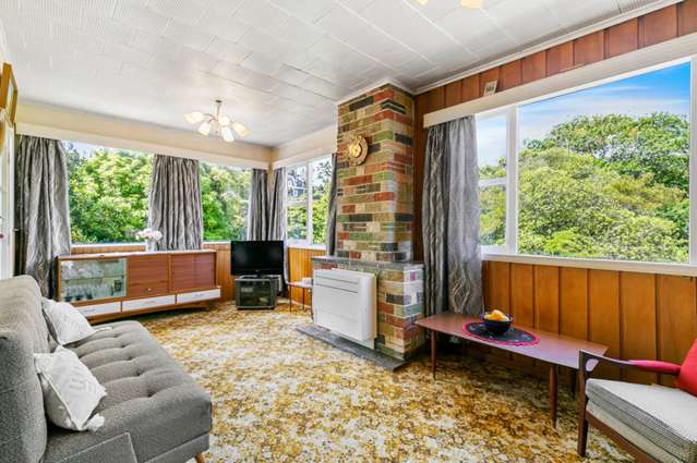 Floral wallpaper and eels! The ‘unusual’ Wellington house stuck in the 1960s