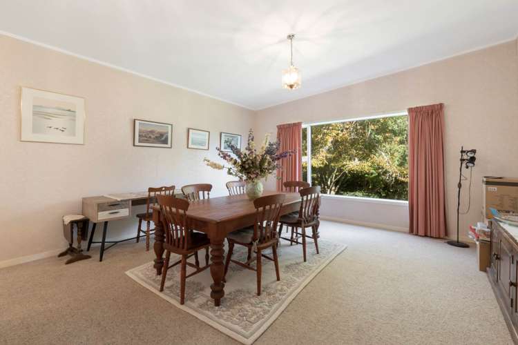 162 Ara-Kotinga Whitford_19