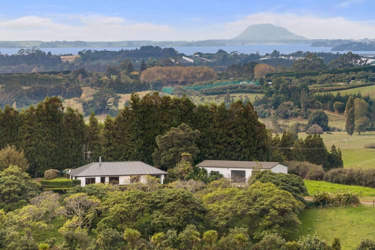 228A Lockington Road Katikati_25