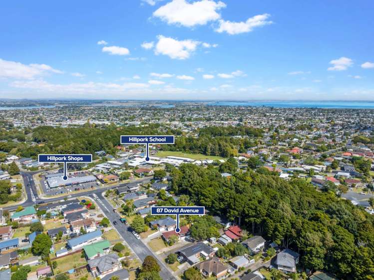 87 David Avenue Hillpark_20