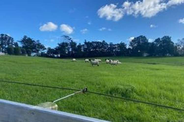 270 Ireland Road Waitoki_29