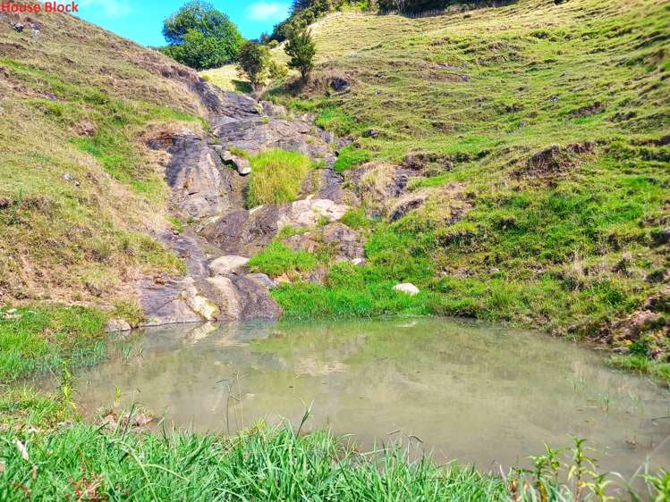 269 Takahue Saddle Road Takahue_11