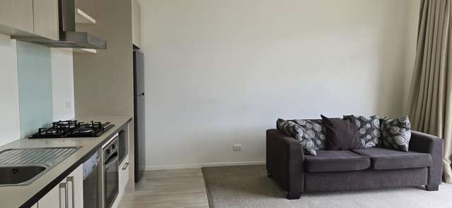 10/67 Andrews Road Queenstown_3