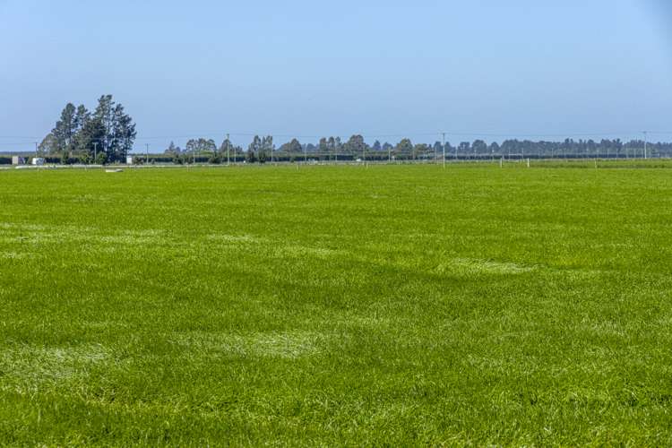 1394 Maronan Road Maronan_5