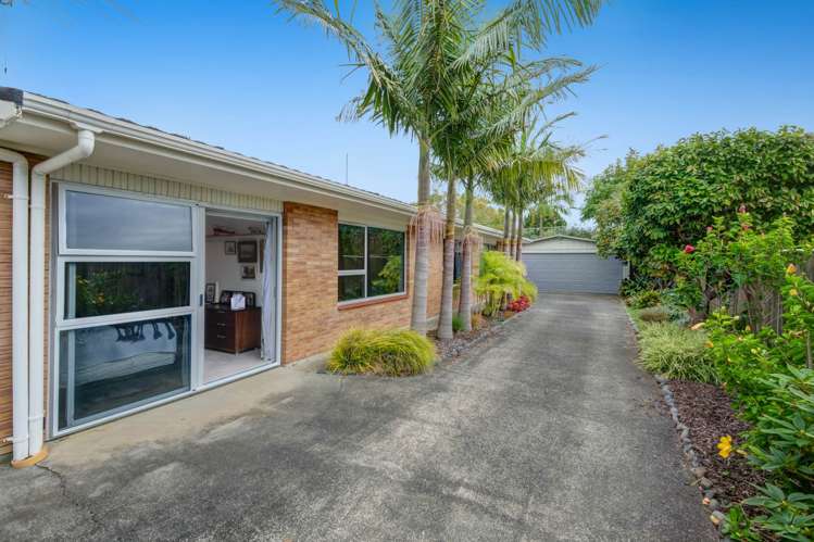 42B Manly Park Avenue Manly_39
