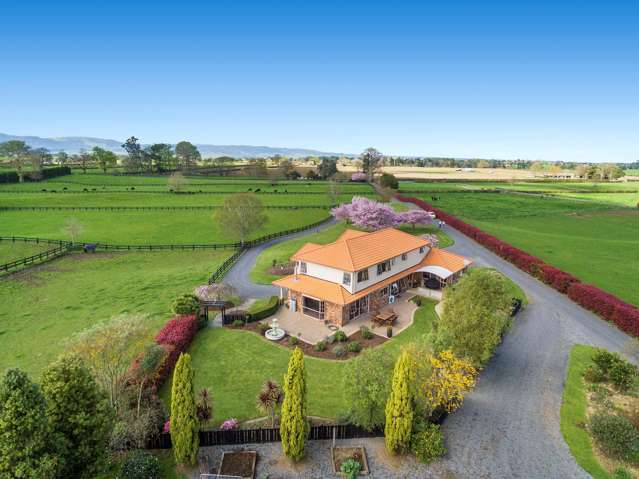 305 Taihoa South Road Matamata_1