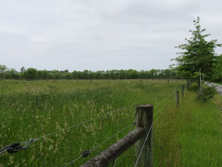 1521 Tram Road Swannanoa_9