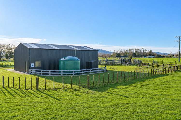 166 Swayne Road Cambridge_4
