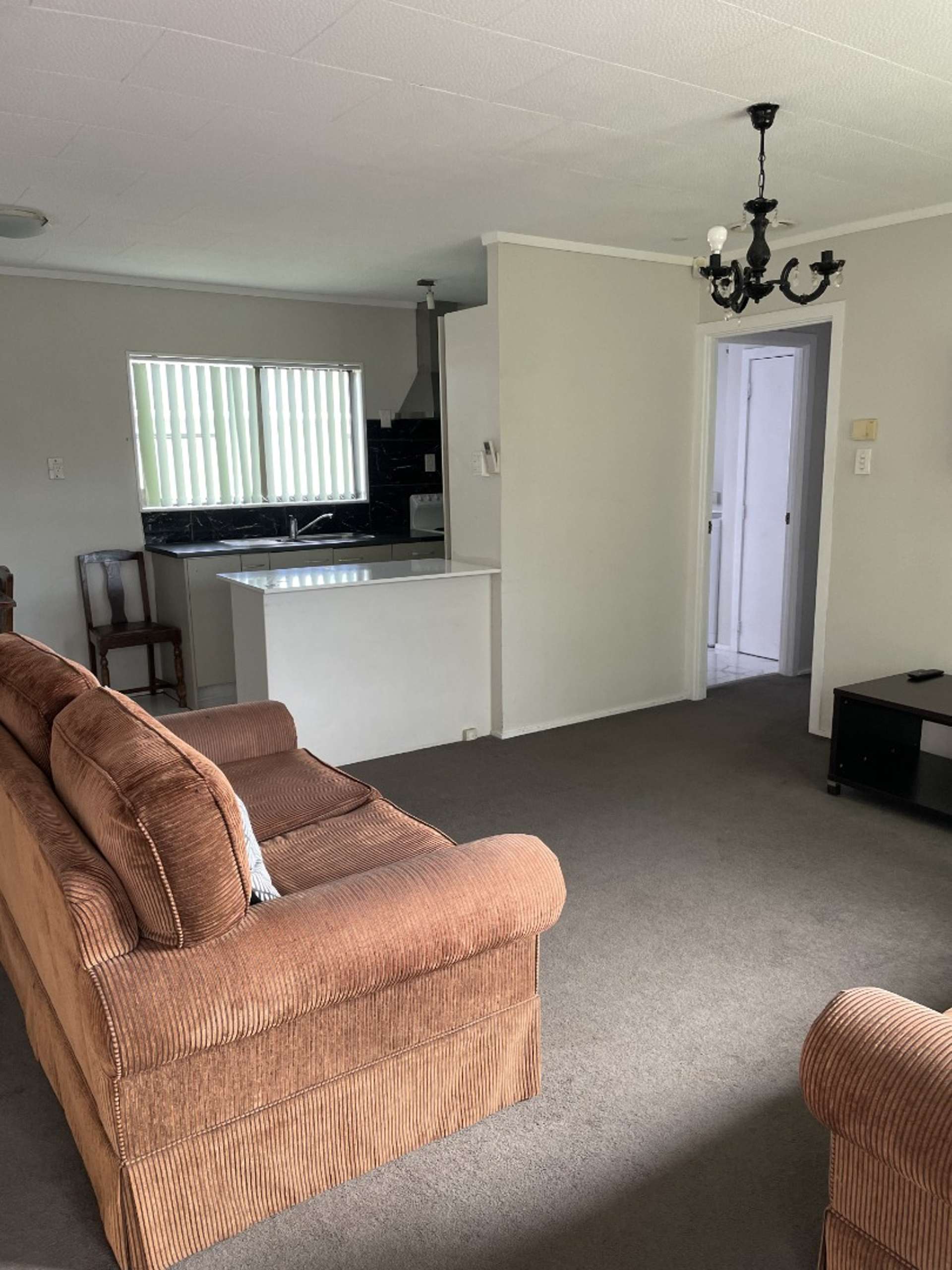 17a Ballance Avenue Papatoetoe_0