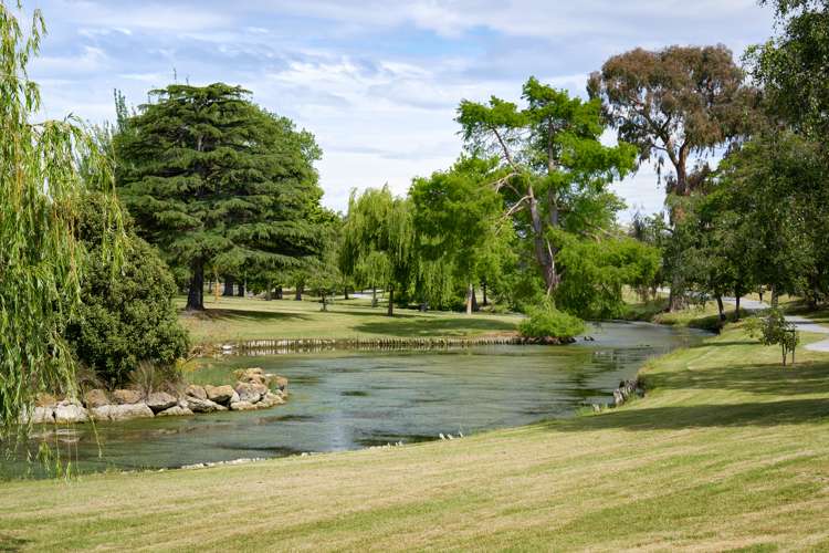 48 Georges Drive Napier South_3