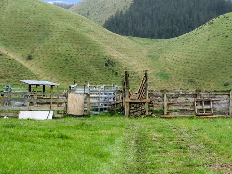 3093 Waihopai Valley Road Waihopai Valley_28