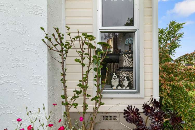 19 Churchill Avenue Te Aroha_13