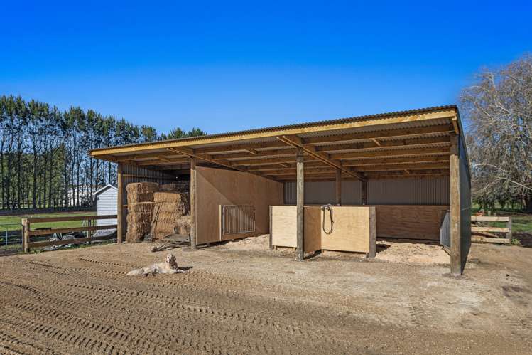 24 Willow Lane Edgecumbe_16