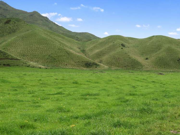 3093 Waihopai Valley Road Waihopai Valley_32