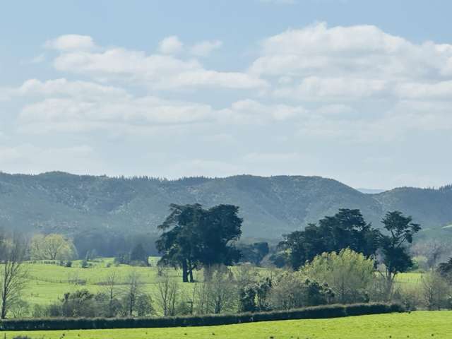 78B Falls Road Te Kauwhata_2