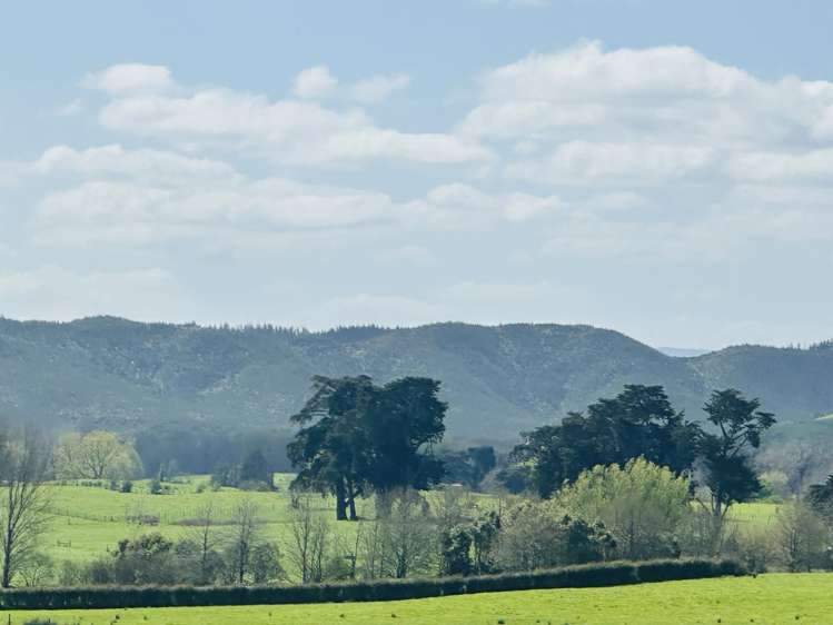 78B Falls Road Te Kauwhata_2